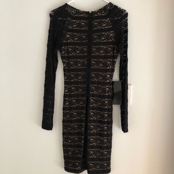 Bebe Pencil Stripe Lace Dress in Black & Nude Lace - Picture 4 of 6